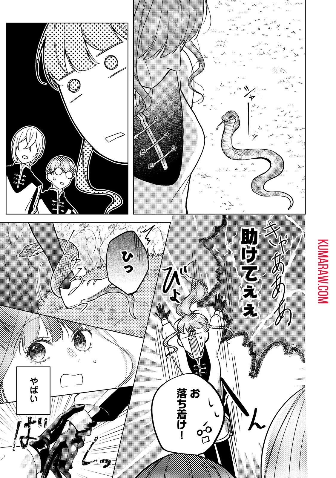 バッドエンド目前のヒロインに転生した私、今世では恋愛するつもりがチートな兄が離してくれません!? 第18話 - 5