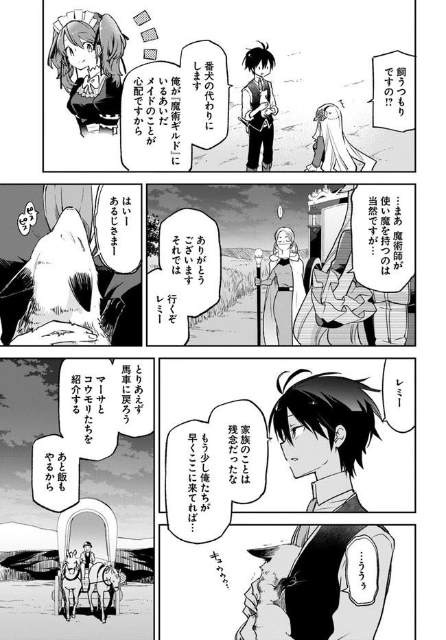 Henkyou Gurashi No Maou, Tensei Shite Saikyou No Majutsushi Ni Naru (manga) 第17話 - 5