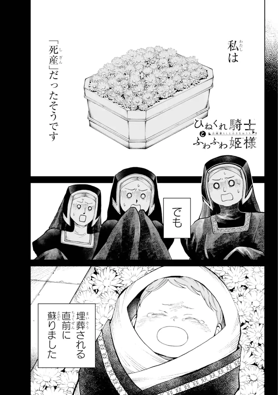 ひねくれ騎士とふわふわ姫様 古城暮らしと小さなおうち 第3話 - 1
