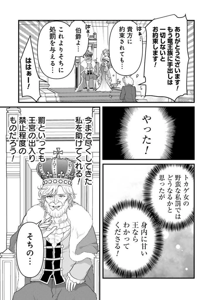 Ryuu ni Sodaterareta Saikyou The Strongest Raised by Dragons 竜に育てられた最強 竜に育てられた最強　～全てを極めた少年は人間界を無双する～ 第20話 - 7