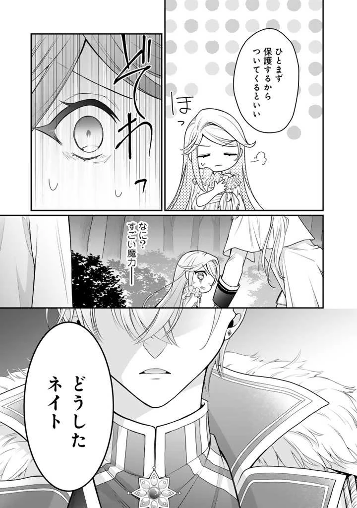 裏切られた悪徳王女、幼女になって冷血皇帝に拾われる 第1話 - 42