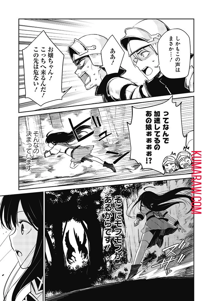 聖女さま？いいえ、通りすがりの魔物使いです！～絶対無敵の聖女はモフモフと旅をする～ 第1話 - 35