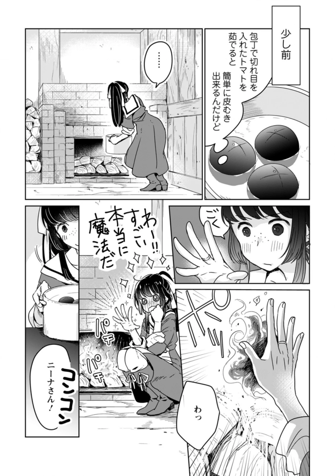 聖女じゃないと追放されたので、もふもふ従者(聖獣)とおにぎりを握る 第6話 - 4