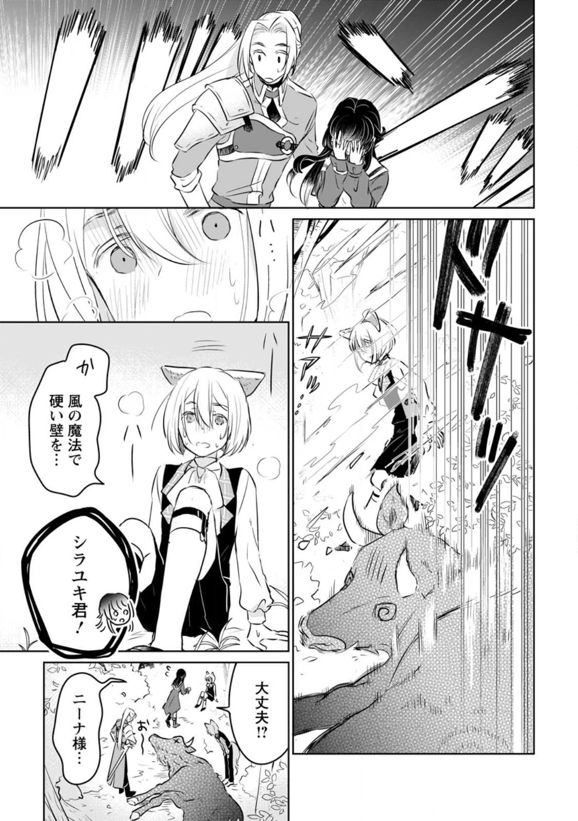 聖女じゃないと追放されたので、もふもふ従者(聖獣)とおにぎりを握る 第22話 - 5