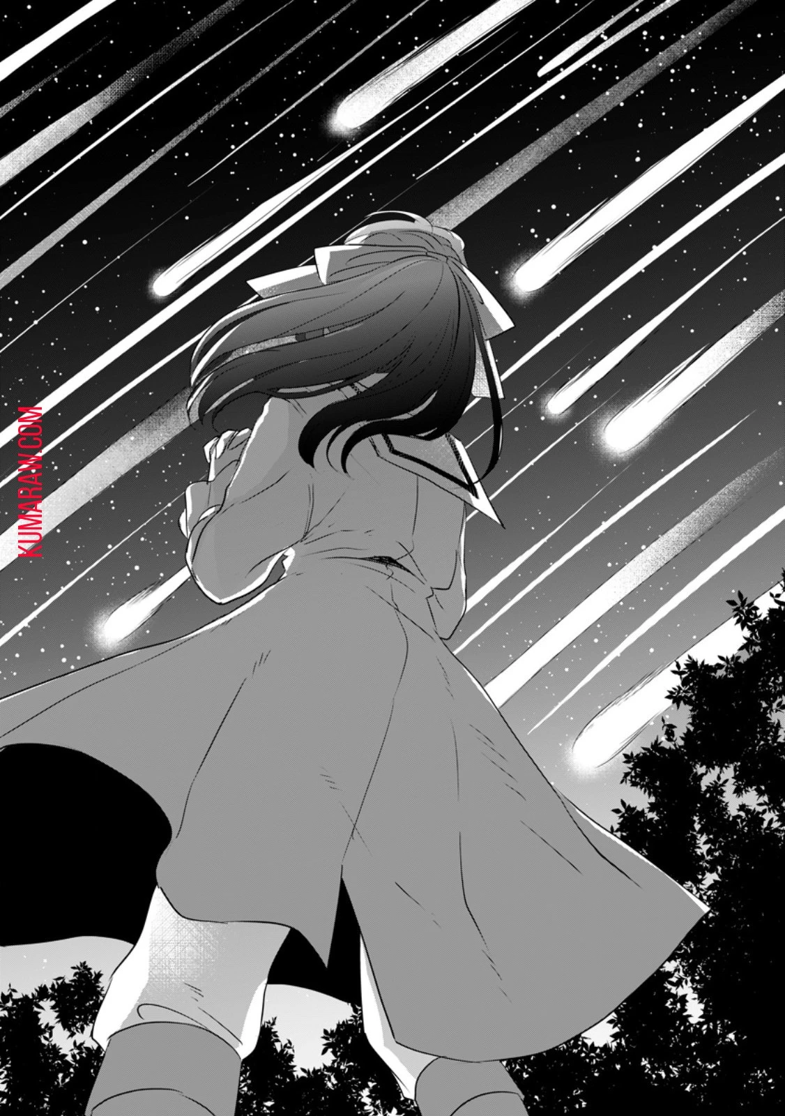 聖女じゃないと追放されたので、もふもふ従者(聖獣)とおにぎりを握る 第30話 - 8