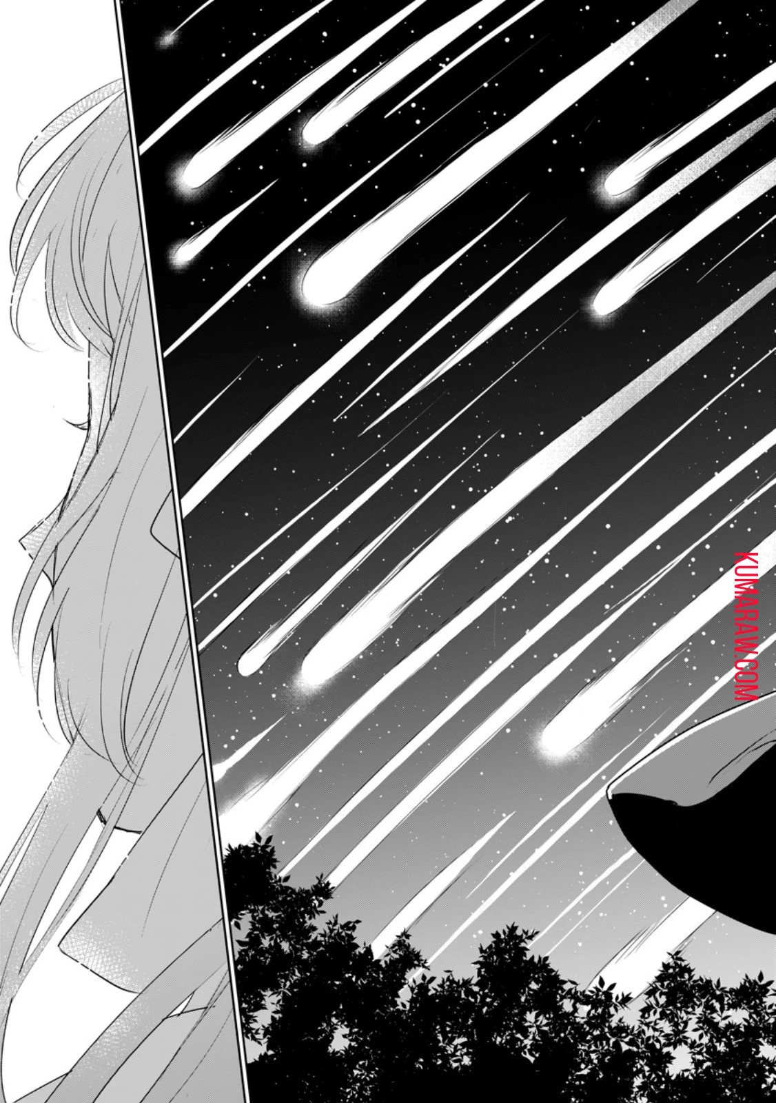 聖女じゃないと追放されたので、もふもふ従者(聖獣)とおにぎりを握る 第30話 - 9