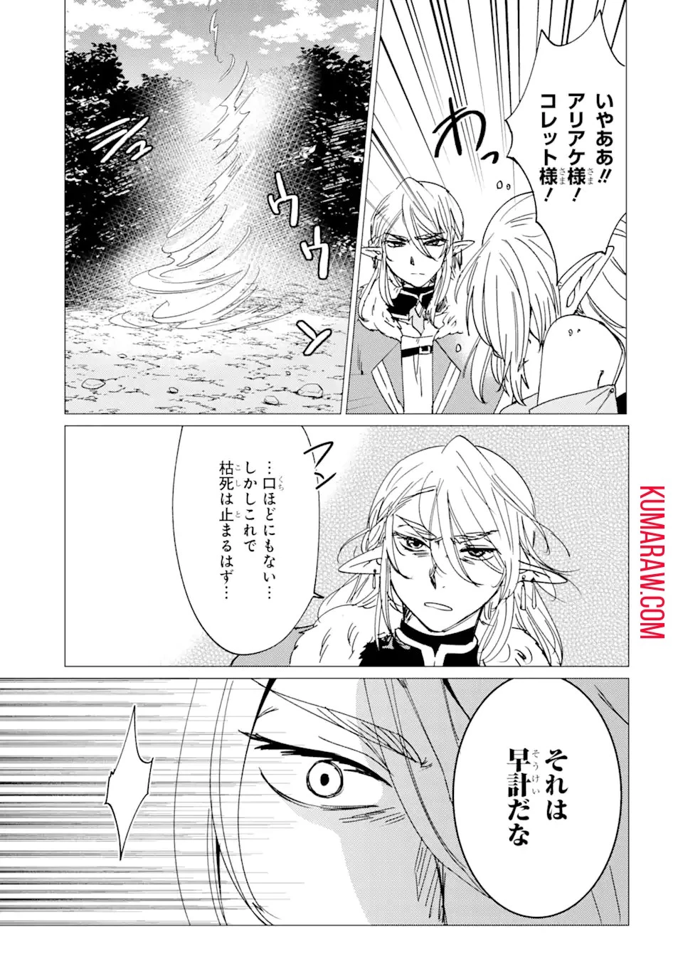 勇者パーティーを追放された俺だが、俺から巣立ってくれたようで嬉しい。……なので大聖女、お前に追って来られては困るのだが? 第14話 - 13