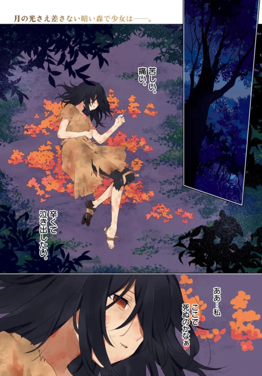 薬売りの聖女 ～冤罪で追放された薬師は、辺境の地で幸せを掴む～ 第1話 - 1