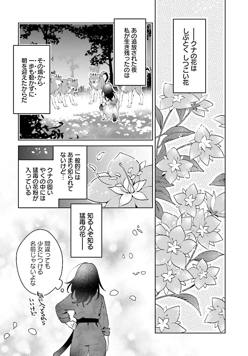 薬売りの聖女 ～冤罪で追放された薬師は、辺境の地で幸せを掴む～ 第4話 - 12