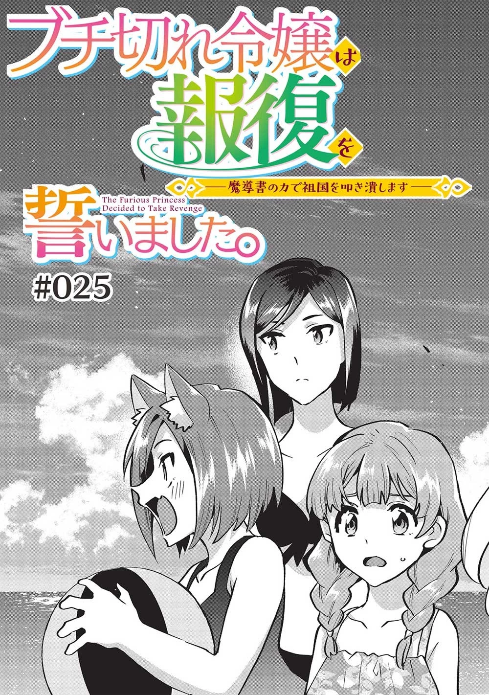 ブチ切れ令嬢は報復を誓いました。 ～魔導書の力で祖国を叩き潰します～ 第25話 - 3