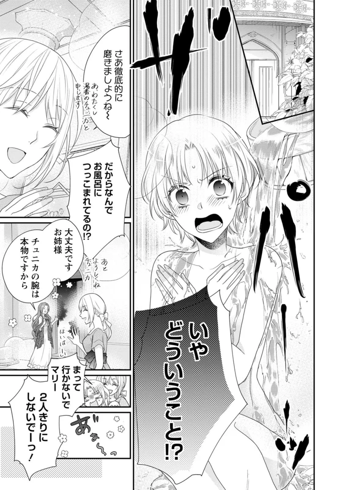 ずたぼろ令嬢は姉の元婚約者に溺愛される 第28話 - 9