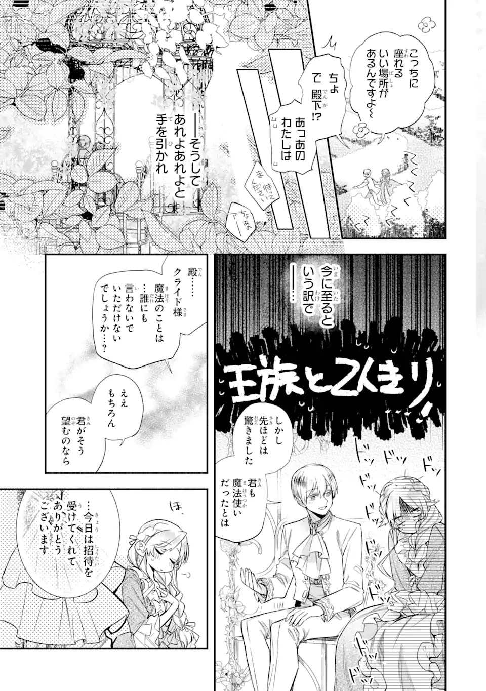 家から逃げ出したい私が、うっかり憧れの大魔法使い様を買ってしまったら 第3話 - 5
