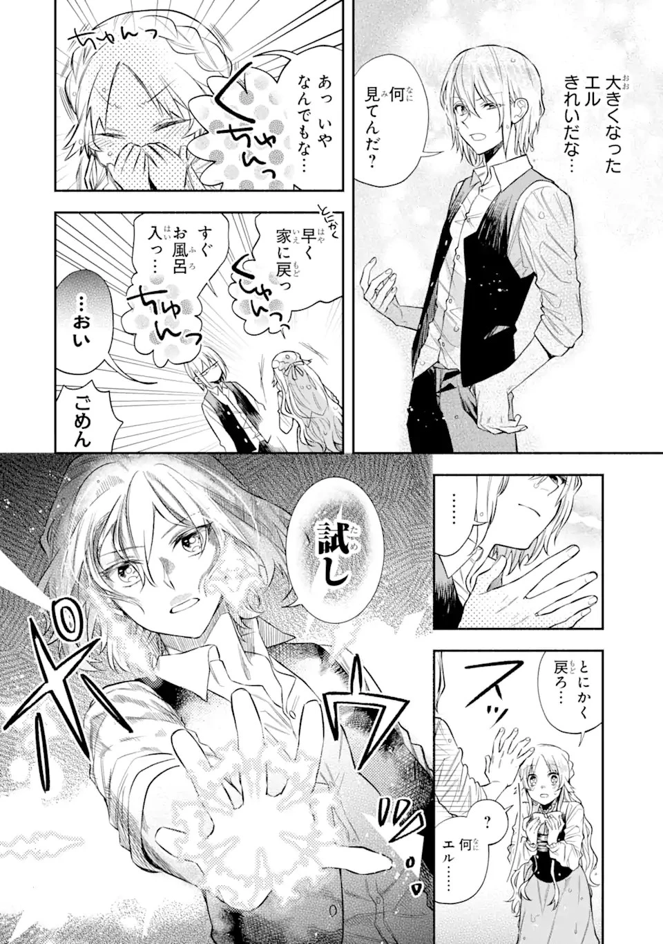 家から逃げ出したい私が、うっかり憧れの大魔法使い様を買ってしまったら 第4話 - 6