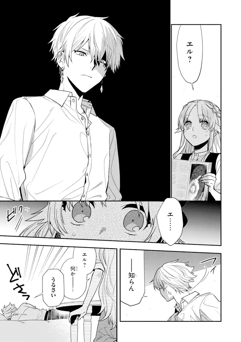 家から逃げ出したい私が、うっかり憧れの大魔法使い様を買ってしまったら 第11話 - 5