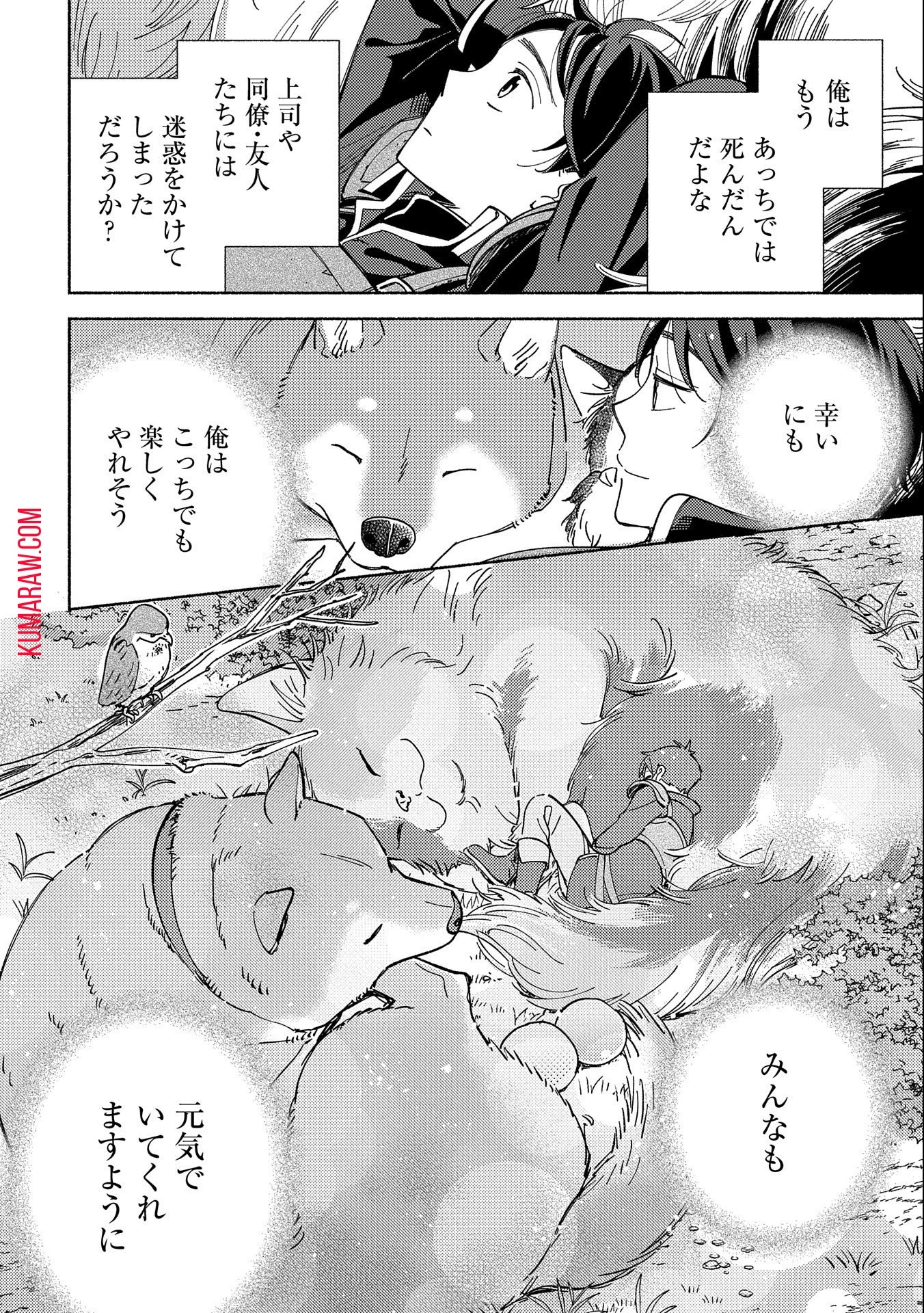 もふもふとむくむくと異世界漂流生活 第2話 - 24