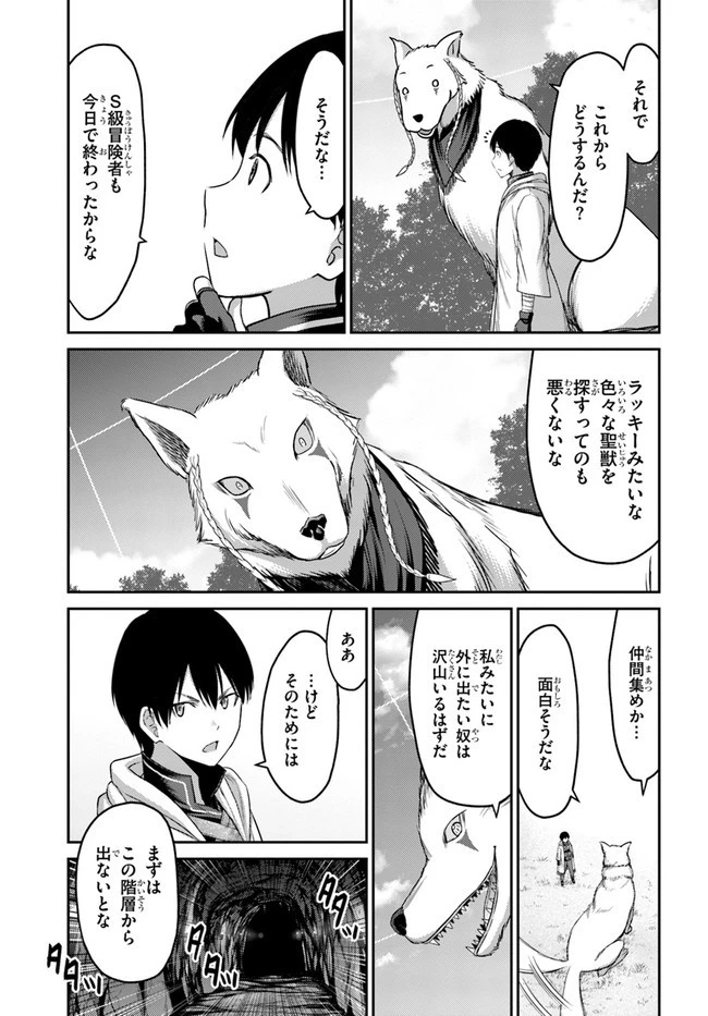 幼馴染のS級パーティーから追放された聖獣使い。万能支援魔法と仲間を増やして最強へ! 第2話 - 19