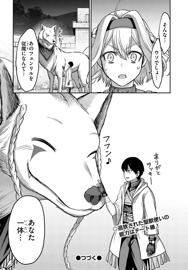 幼馴染のS級パーティーから追放された聖獣使い。万能支援魔法と仲間を増やして最強へ! 第6話 - 34