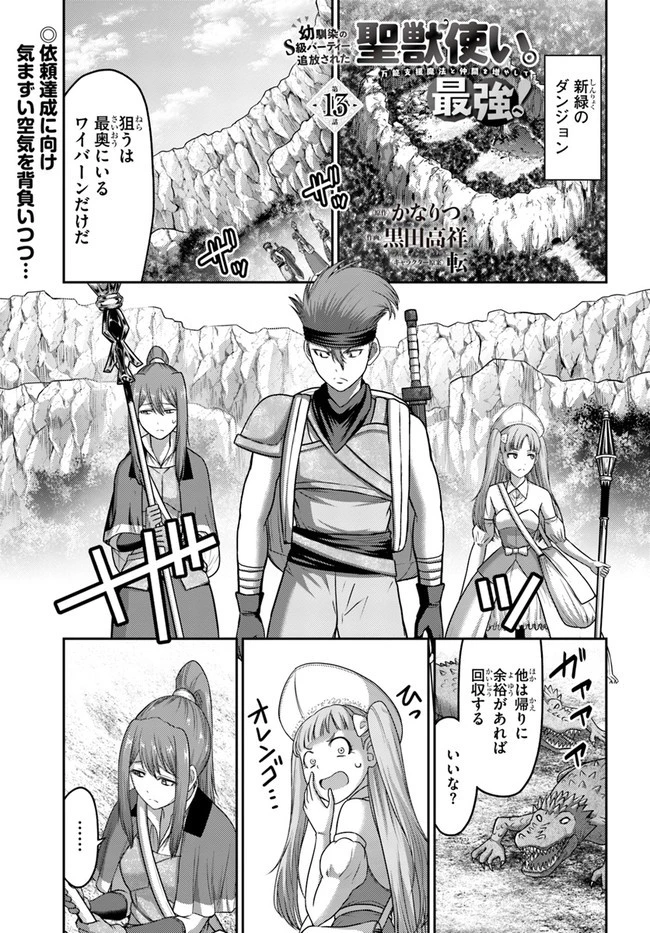 幼馴染のS級パーティーから追放された聖獣使い。万能支援魔法と仲間を増やして最強へ! 第13話 - 1