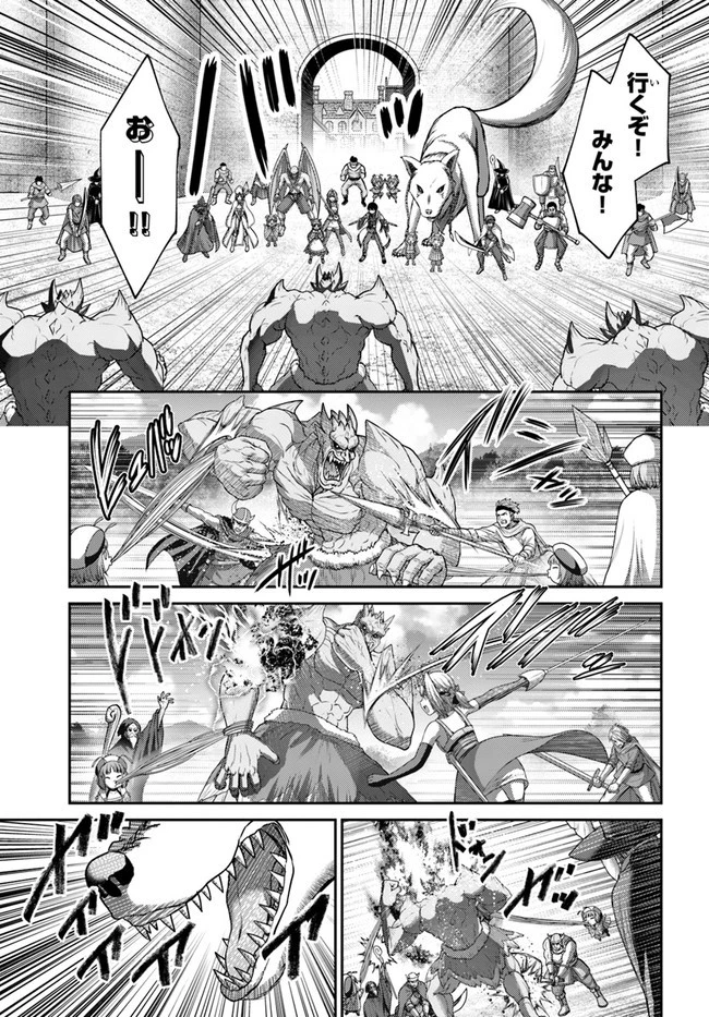 幼馴染のS級パーティーから追放された聖獣使い。万能支援魔法と仲間を増やして最強へ! 第15話 - 9