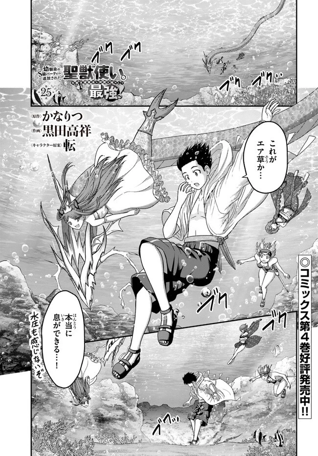 幼馴染のS級パーティーから追放された聖獣使い。万能支援魔法と仲間を増やして最強へ! 第25話 - 1