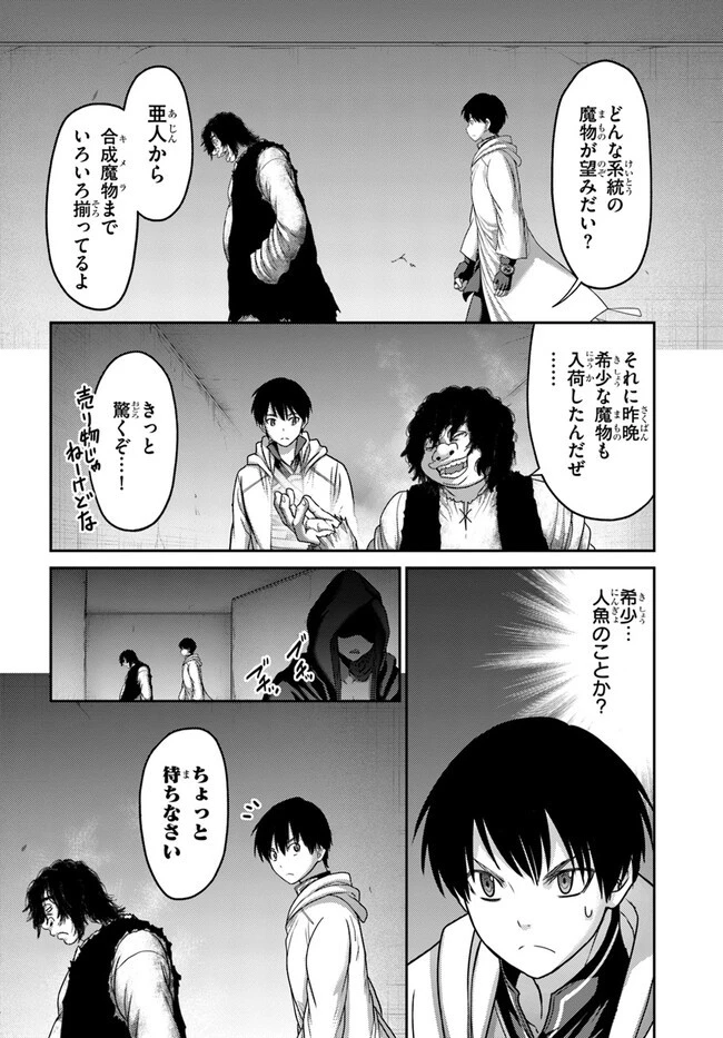 幼馴染のS級パーティーから追放された聖獣使い。万能支援魔法と仲間を増やして最強へ! 第27話 - 20