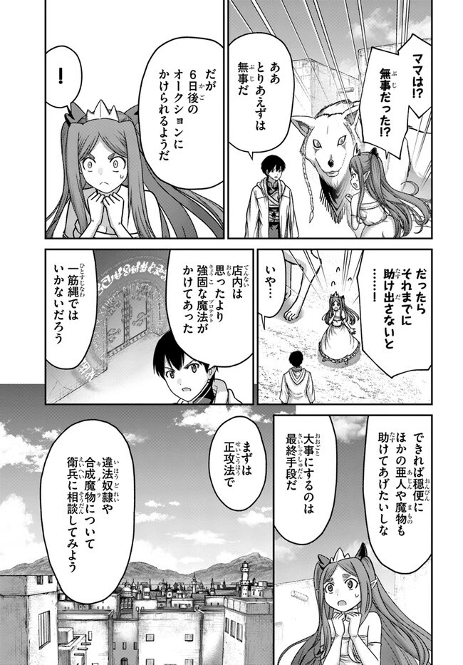 幼馴染のS級パーティーから追放された聖獣使い。万能支援魔法と仲間を増やして最強へ! 第28話 - 9