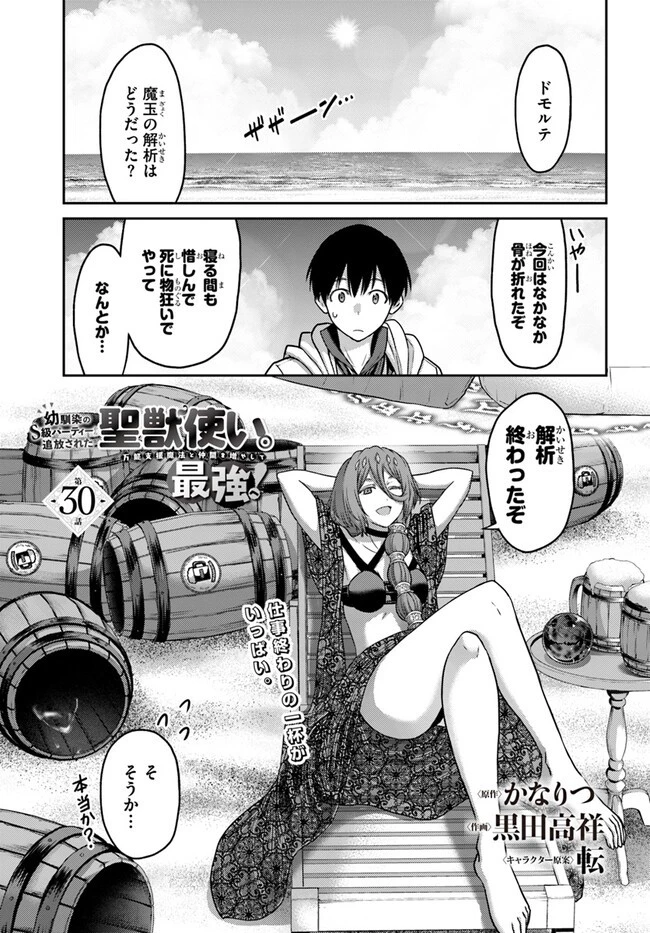 幼馴染のS級パーティーから追放された聖獣使い。万能支援魔法と仲間を増やして最強へ! 第30話 - 1