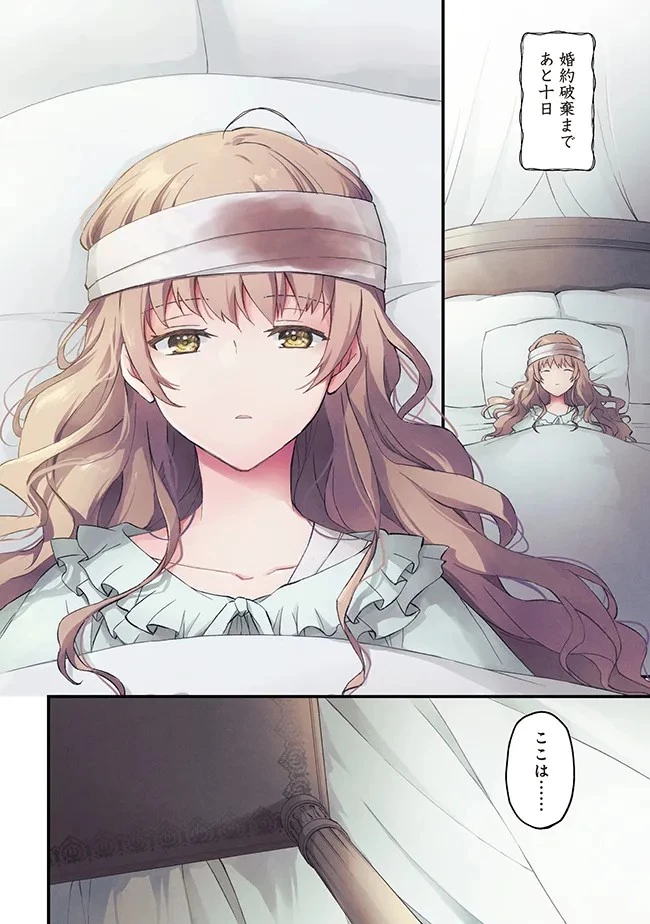 婚約破棄までの10日間 第1話 - 4