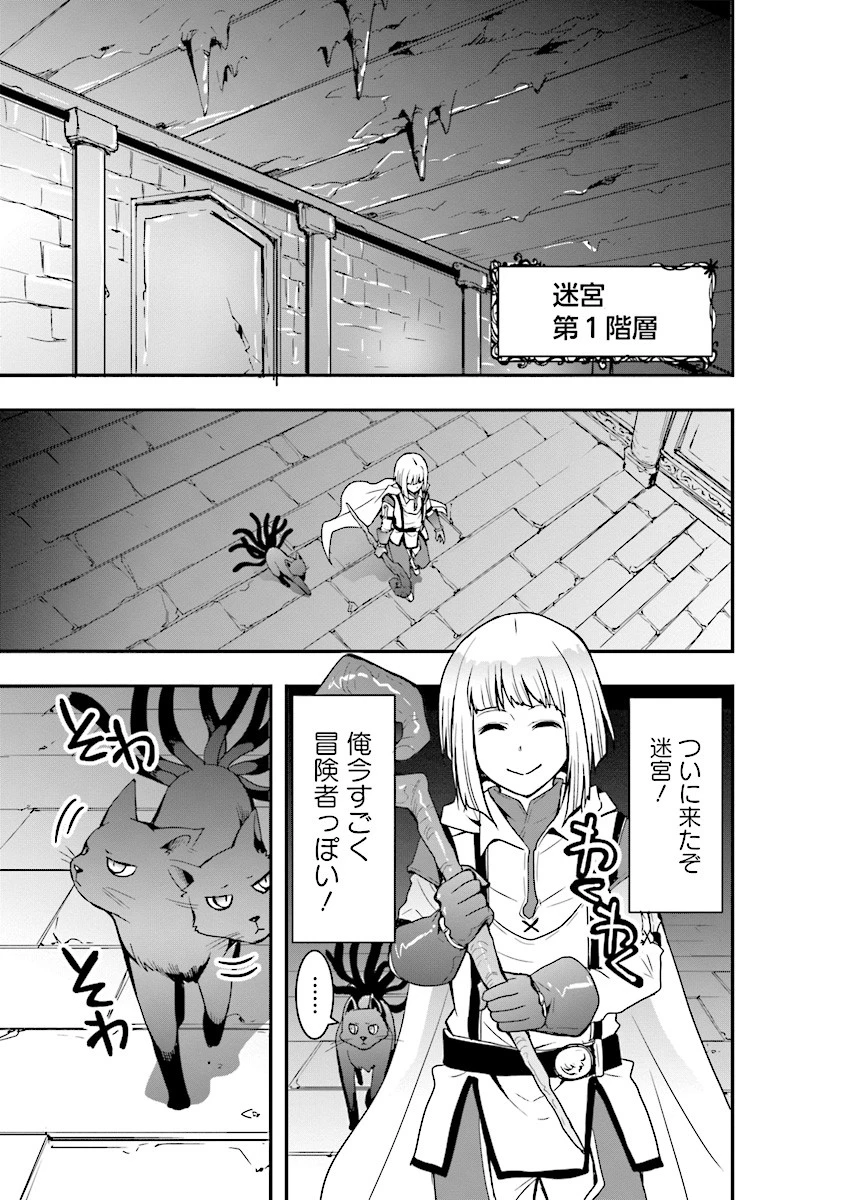 その冒険者、取り扱い注意。 第2話 - 17