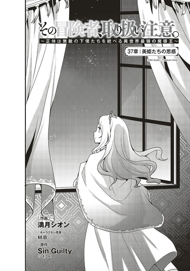 その冒険者、取り扱い注意。 ～正体は無敵の下僕たちを統べる異世界最強の魔導王～ 第37話 - 2