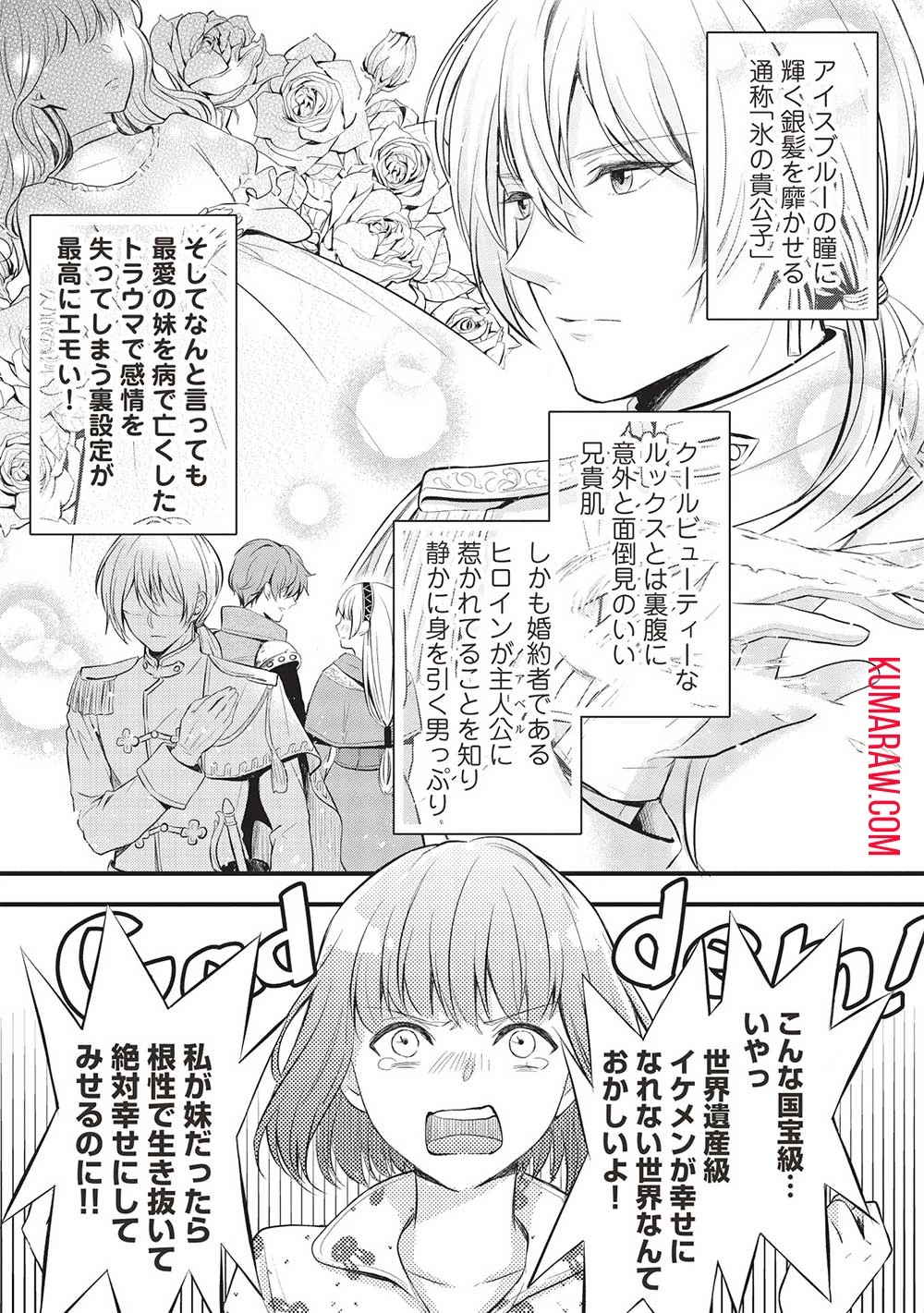 グランアヴェール～お守りの魔導師はラスボスお兄様を救いたい～ 第1話 - 9