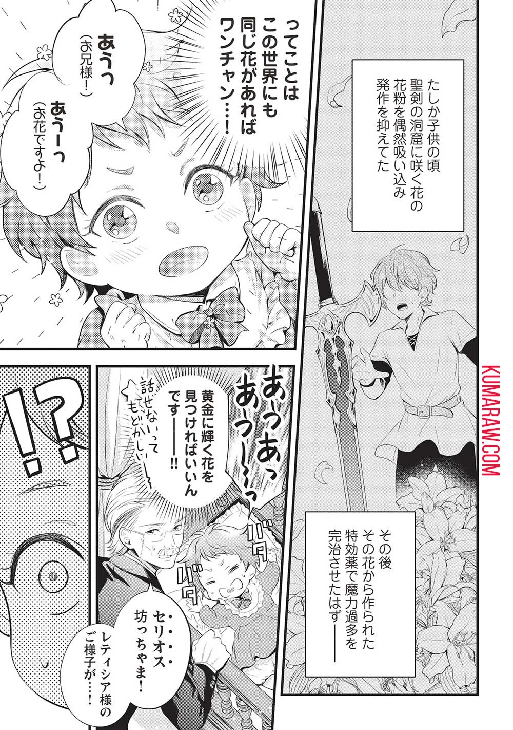 グランアヴェール～お守りの魔導師はラスボスお兄様を救いたい～ 第1話 - 19