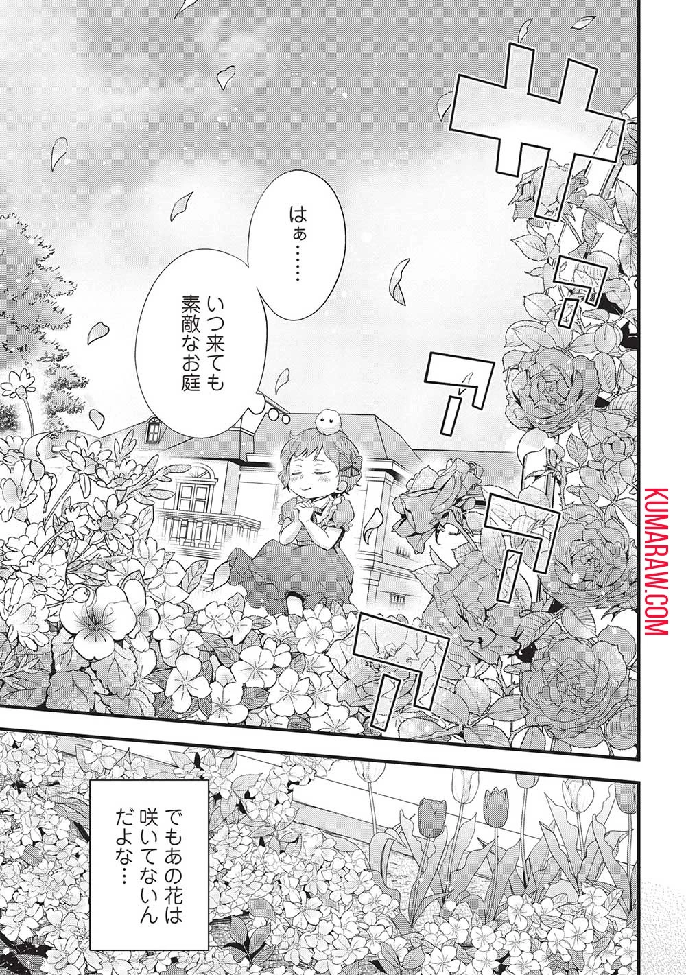 グランアヴェール～お守りの魔導師はラスボスお兄様を救いたい～ 第2話 - 29