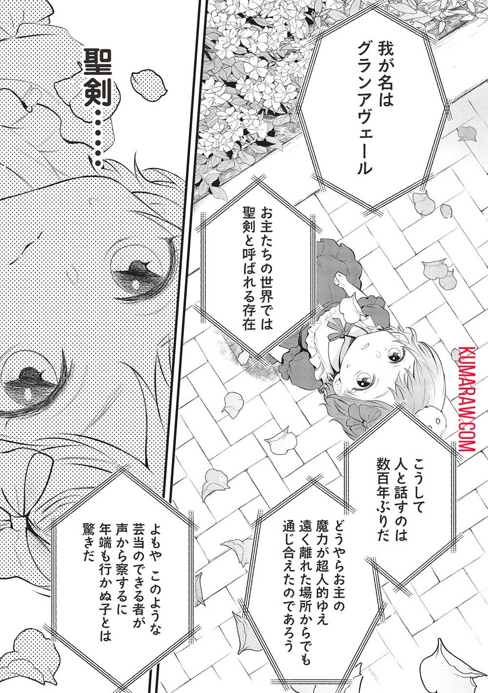 グランアヴェール～お守りの魔導師はラスボスお兄様を救いたい～ 第3話 - 1