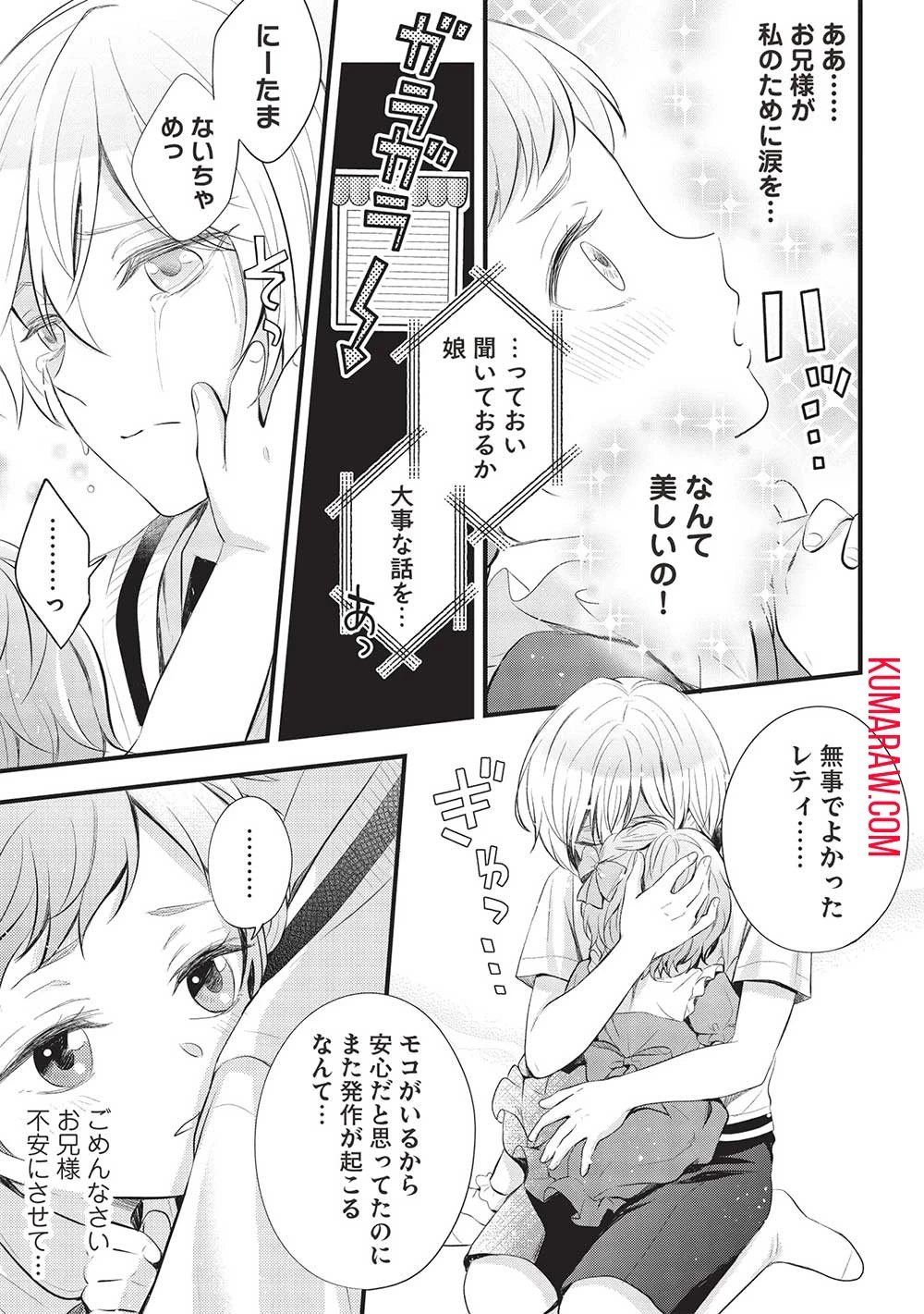 グランアヴェール～お守りの魔導師はラスボスお兄様を救いたい～ 第3話 - 17