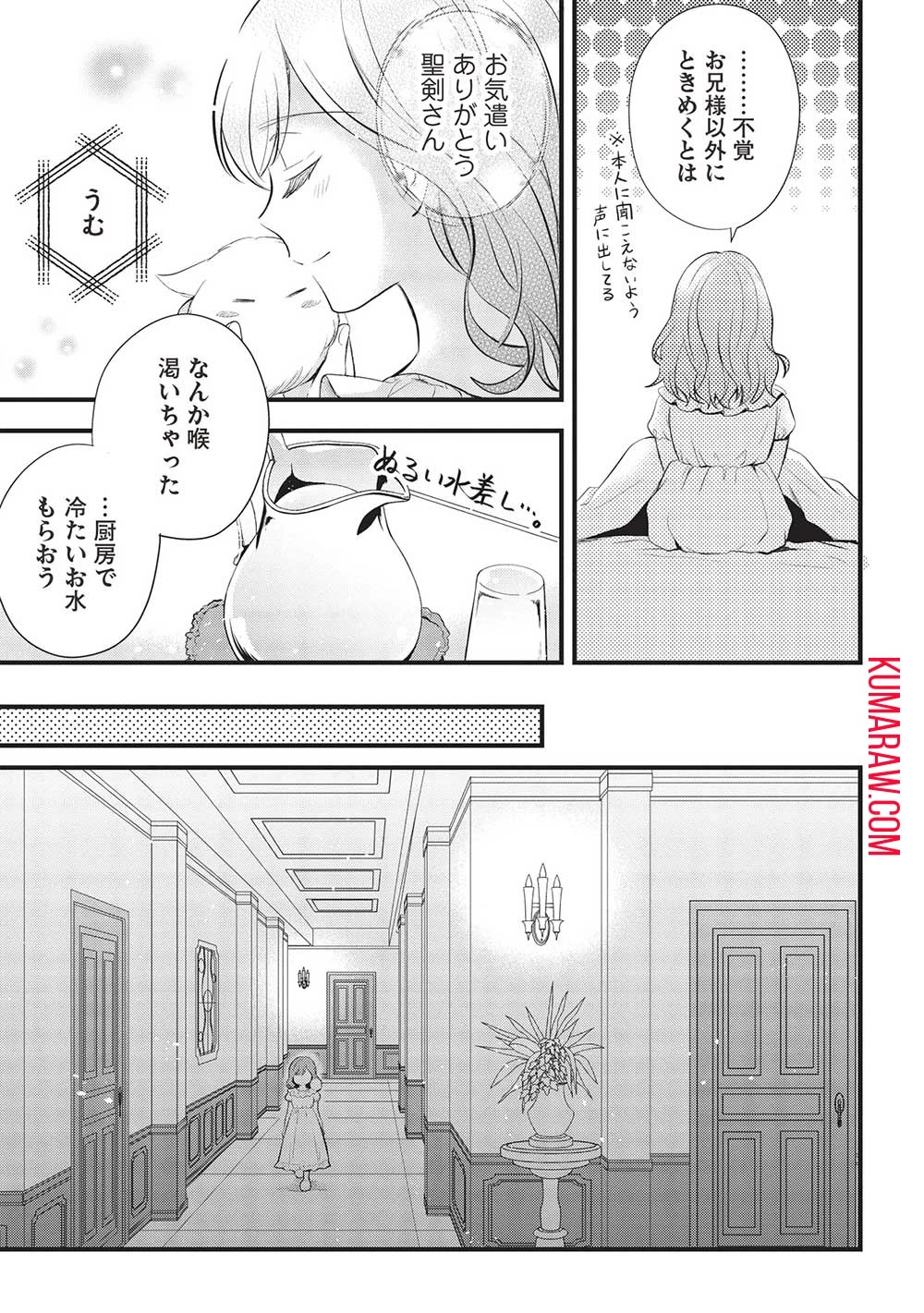 グランアヴェール～お守りの魔導師はラスボスお兄様を救いたい～ 第6話 - 9