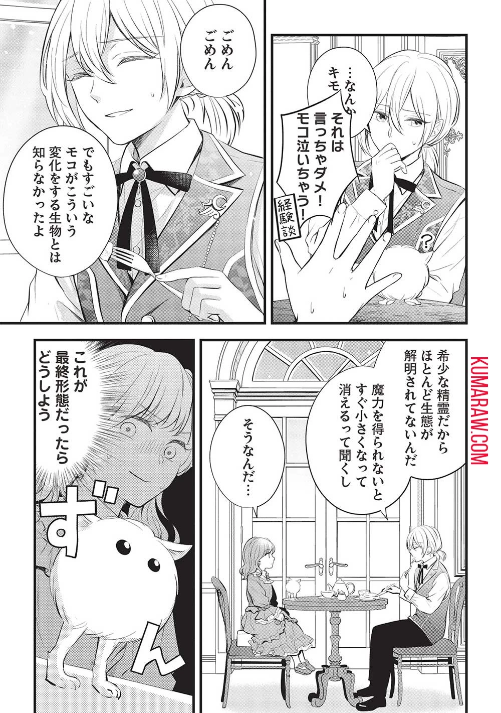 グランアヴェール～お守りの魔導師はラスボスお兄様を救いたい～ 第7話 - 5