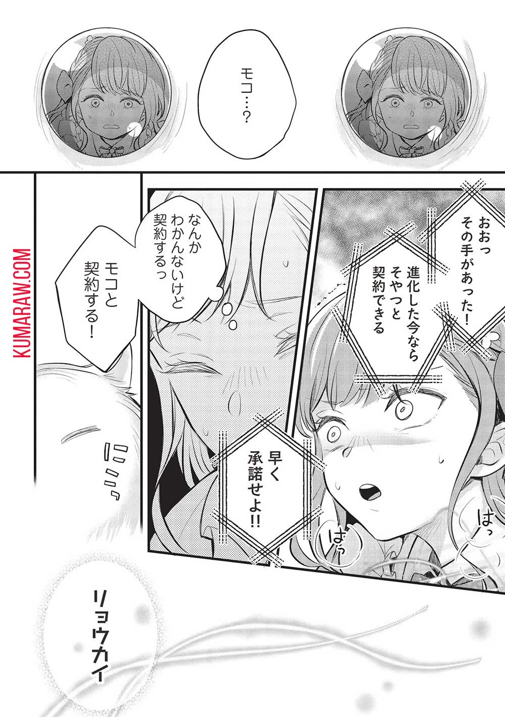 グランアヴェール～お守りの魔導師はラスボスお兄様を救いたい～ 第7話 - 12