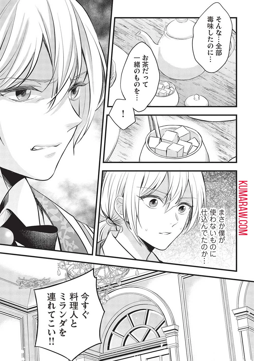 グランアヴェール～お守りの魔導師はラスボスお兄様を救いたい～ 第7話 - 17