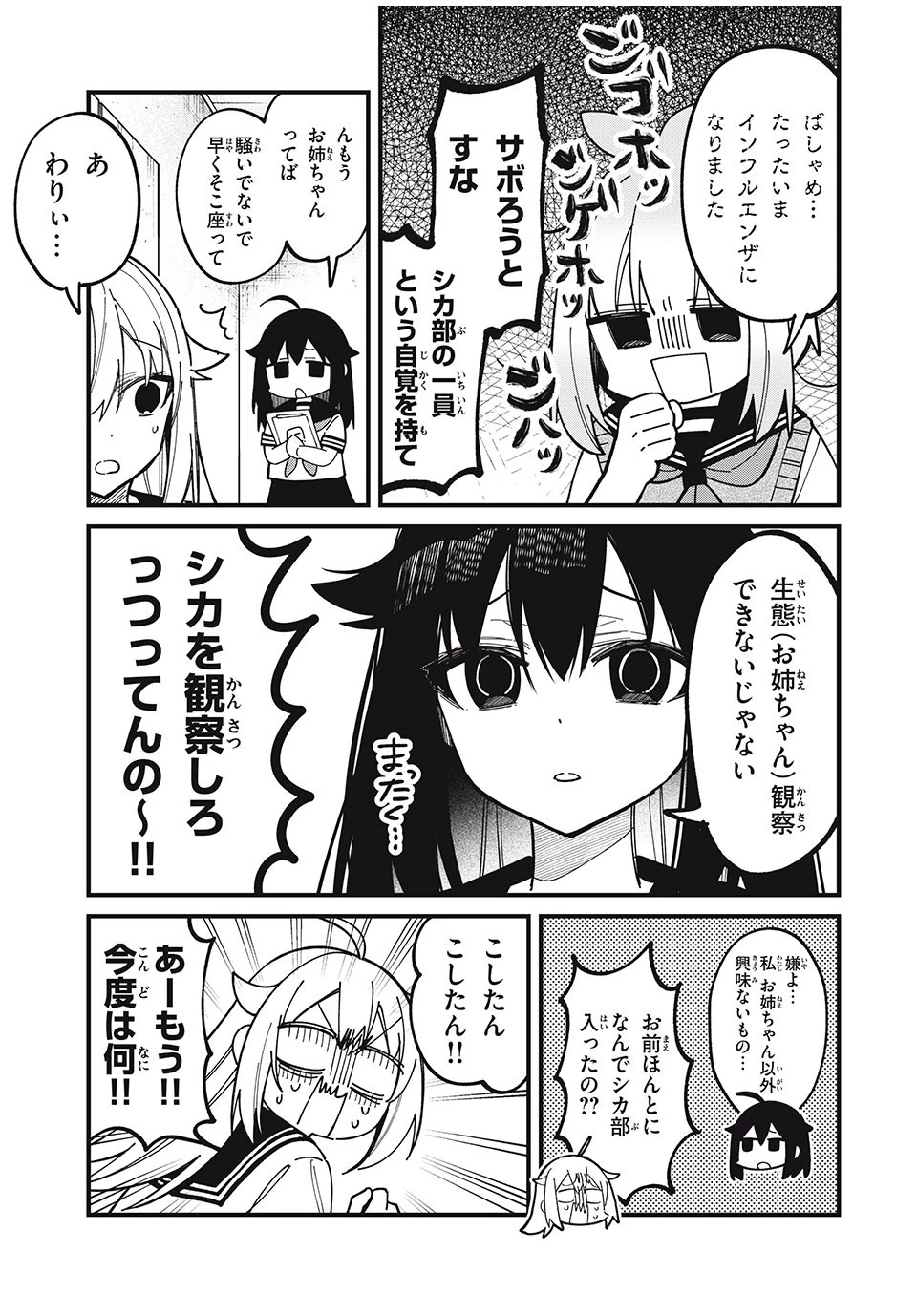 しかのこのこのここしたんたん 第40話 - 11