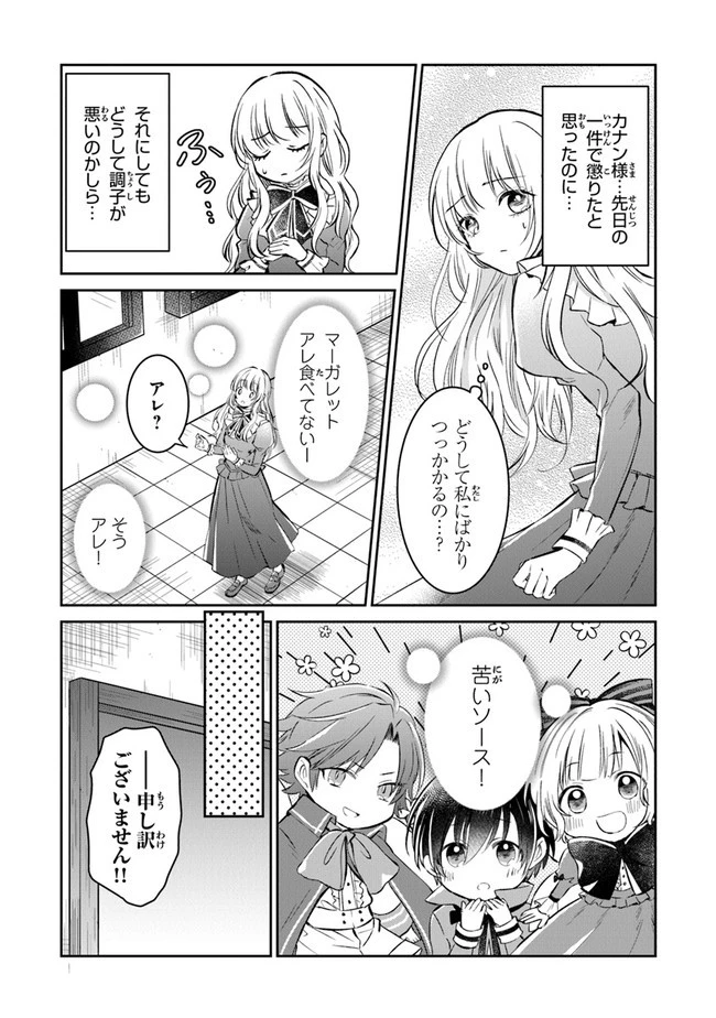 義妹が聖女だからと婚約破棄されましたが、私は妖精の愛し子です 第2話 - 23