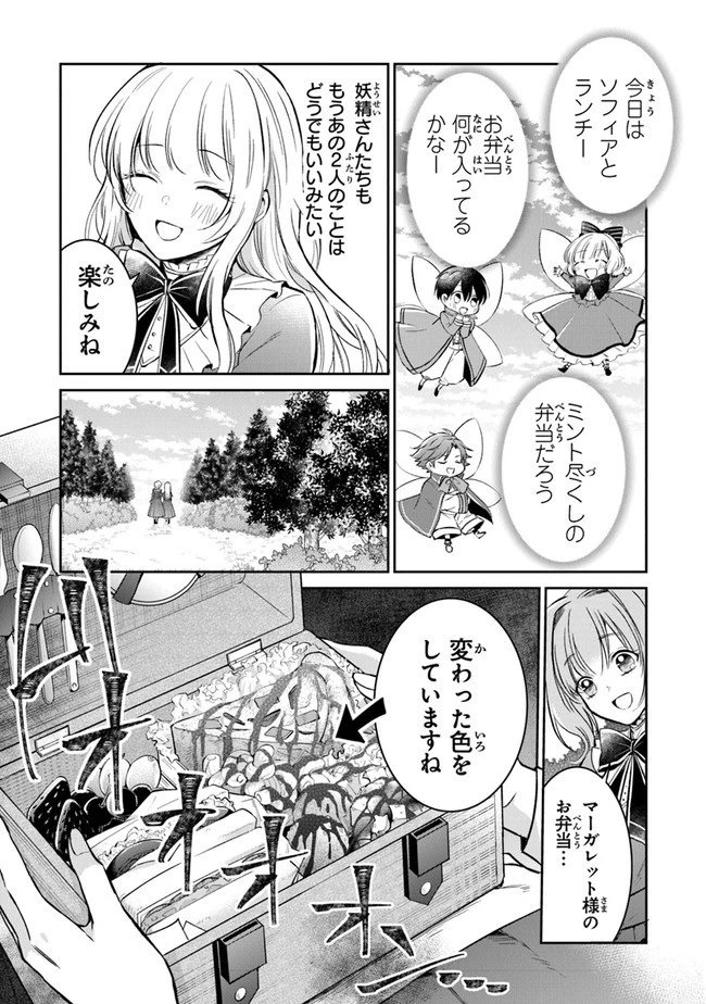 義妹が聖女だからと婚約破棄されましたが、私は妖精の愛し子です 第5話 - 5