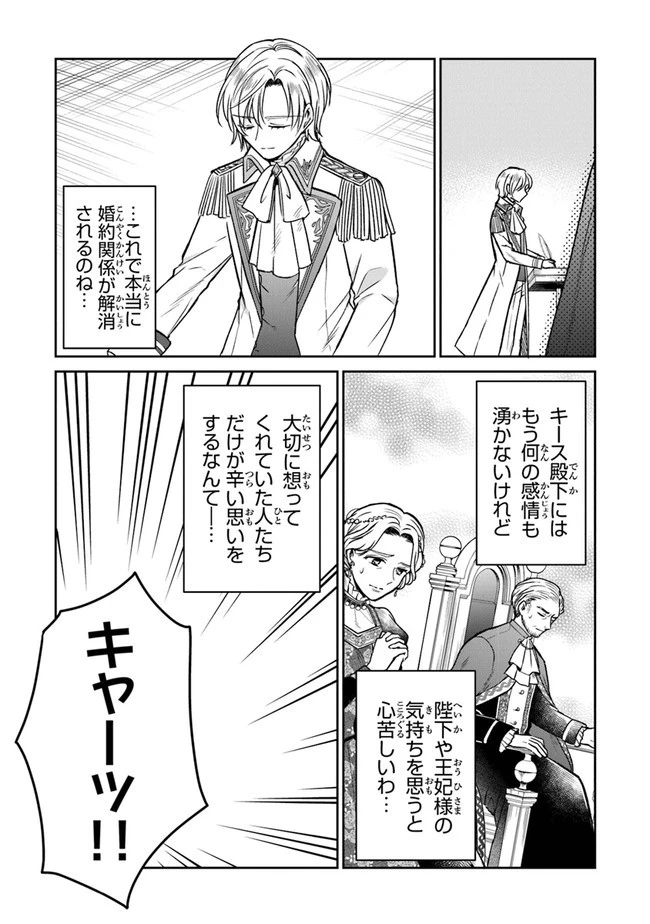 義妹が聖女だからと婚約破棄されましたが、私は妖精の愛し子です 第9話 - 25