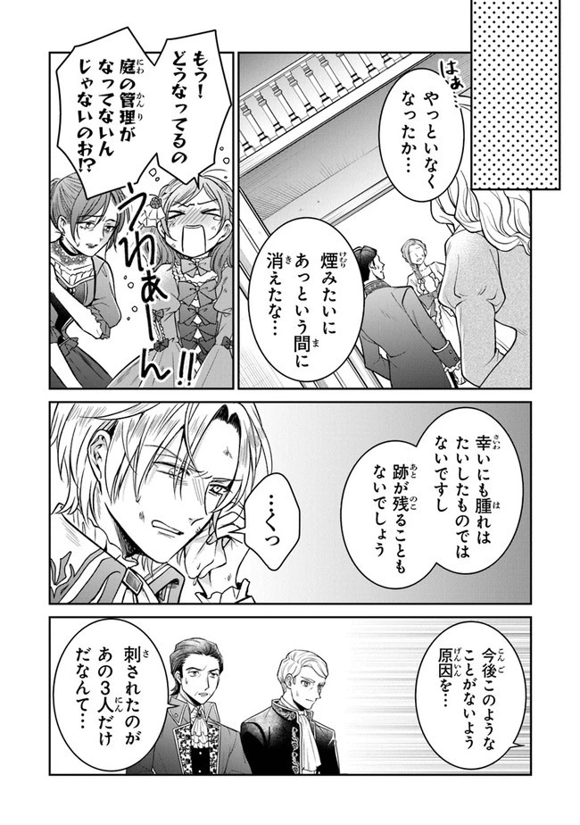 義妹が聖女だからと婚約破棄されましたが、私は妖精の愛し子です 第9話 - 31