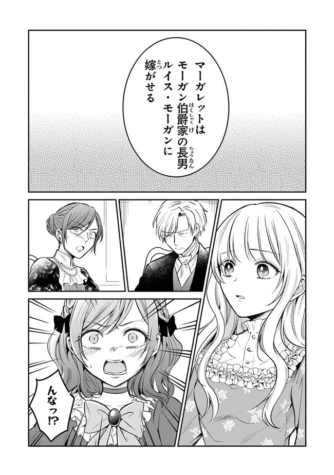 義妹が聖女だからと婚約破棄されましたが、私は妖精の愛し子です 第10話 - 17