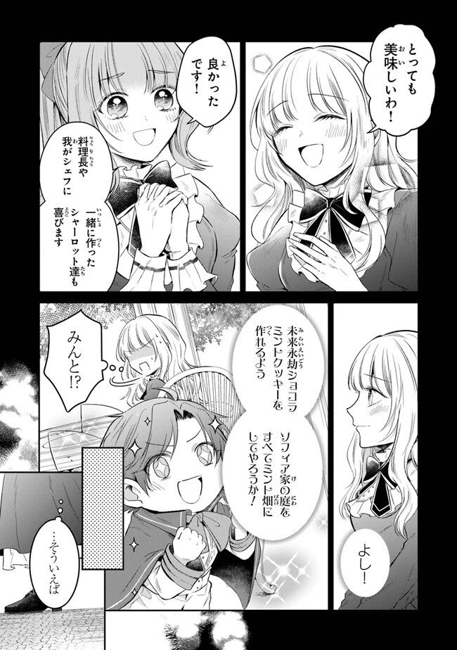 義妹が聖女だからと婚約破棄されましたが、私は妖精の愛し子です 第12話 - 4