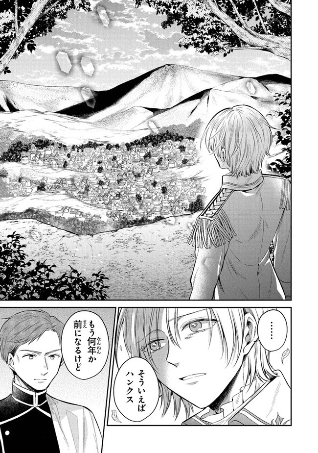 義妹が聖女だからと婚約破棄されましたが、私は妖精の愛し子です 第14話 - 13