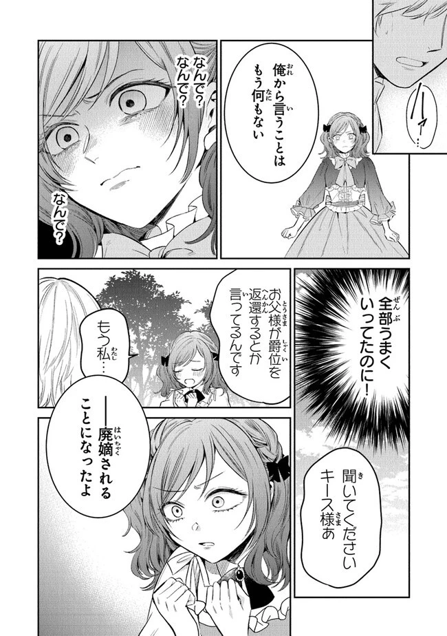 義妹が聖女だからと婚約破棄されましたが、私は妖精の愛し子です 第14話 - 22