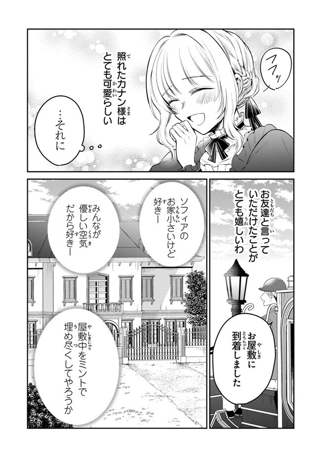 義妹が聖女だからと婚約破棄されましたが、私は妖精の愛し子です 第16話 - 18