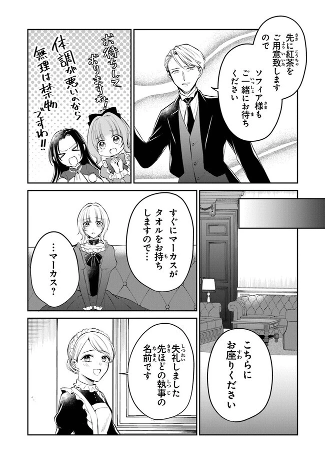 義妹が聖女だからと婚約破棄されましたが、私は妖精の愛し子です 第17話 - 4
